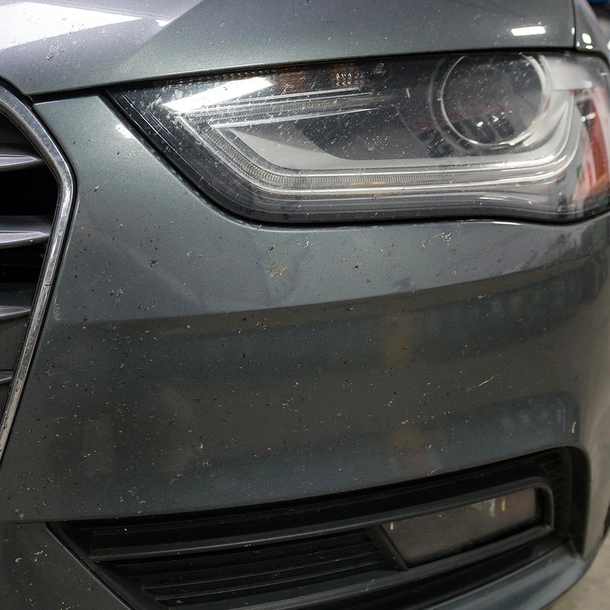 Bug&TarRemoverCarWash - Image 15