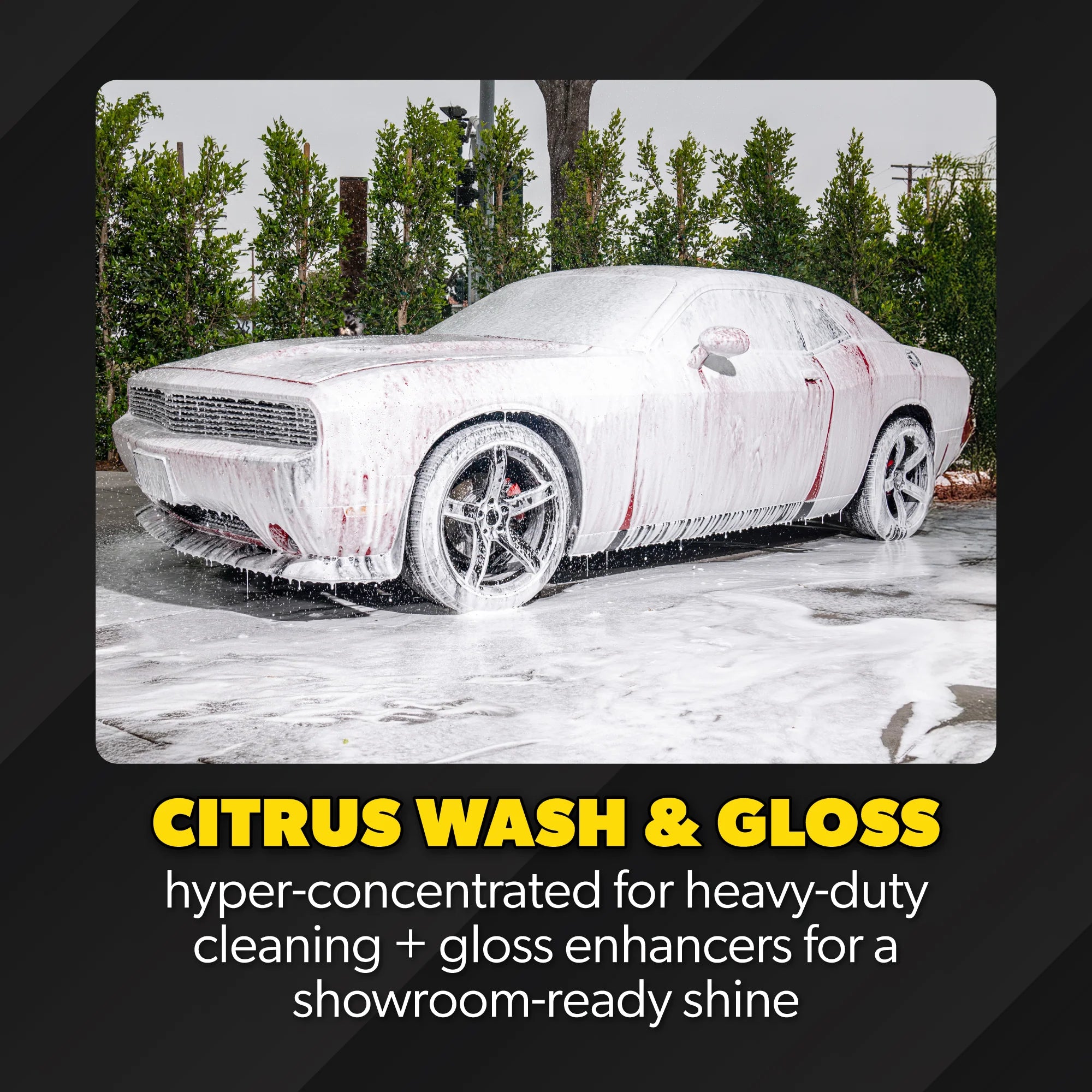 ProFlowClean&ShineBundle - Image 3