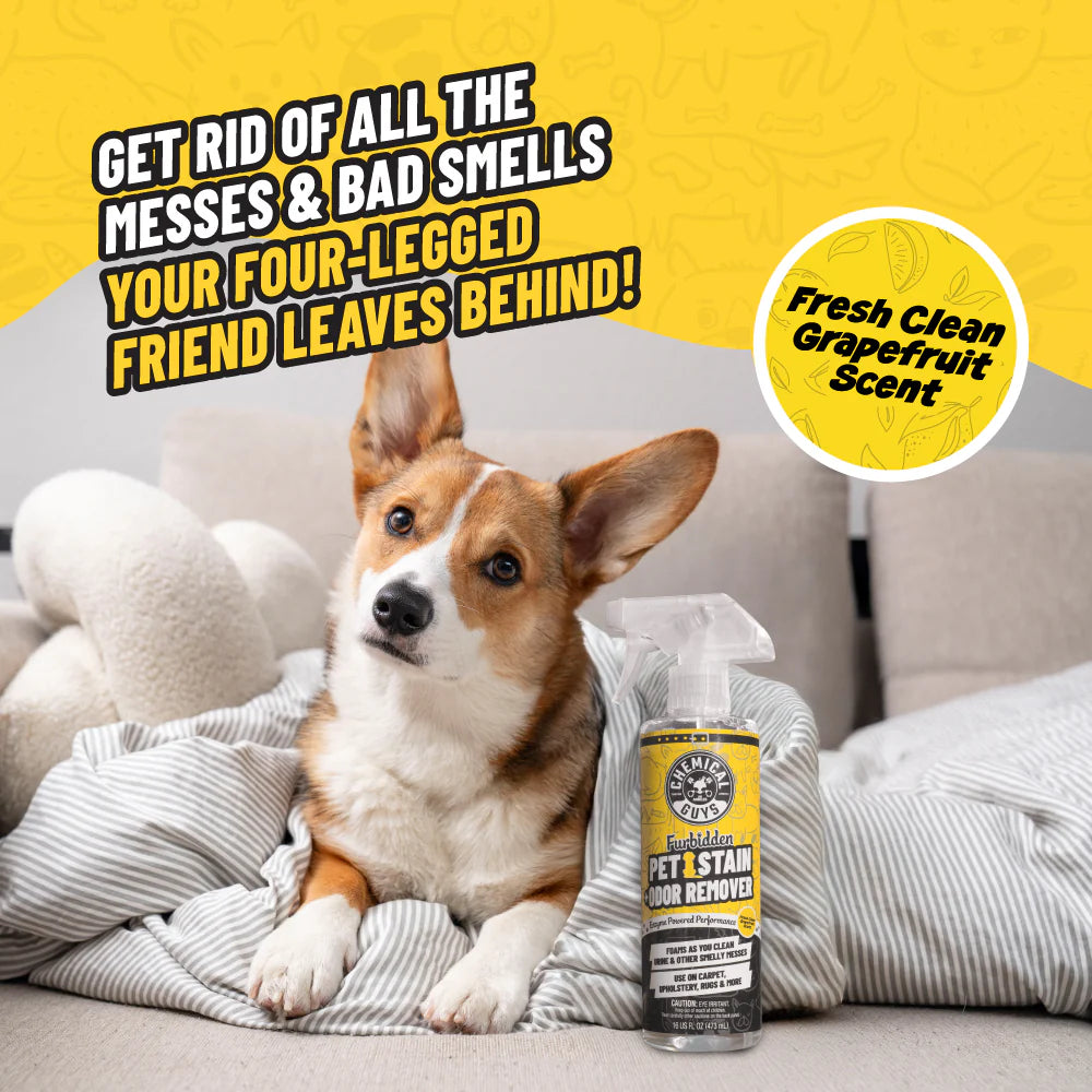 FurbiddenPetStainRemover - Image 2